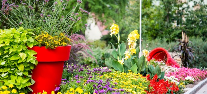 Blumen vor dem Rathaus. Blumige Dekoration öffentlicher Gebäude