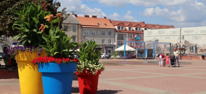 Im Kontrast liegt die Stärke! Bunte Blumentöpfe in einer Stadt